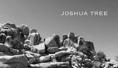 Road Trip Joshua Tree