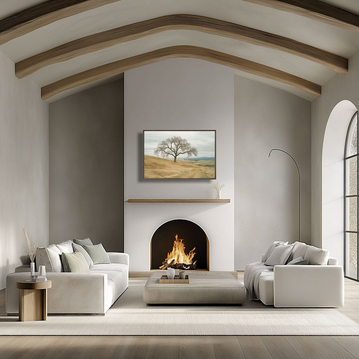 Solitude on the Central California Trail - Framed Poster