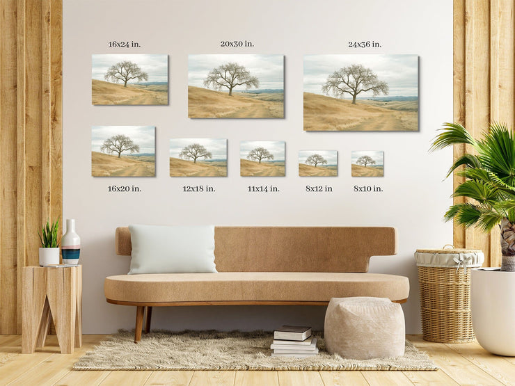 Solitude on the Central California Trail - Framed Poster