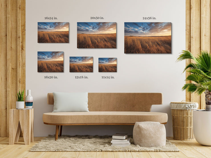 Golden Horizons: Central California Wild Grass Field Framed Canvas Print