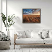Golden Horizons: Central California Wild Grass Field Framed Canvas Print