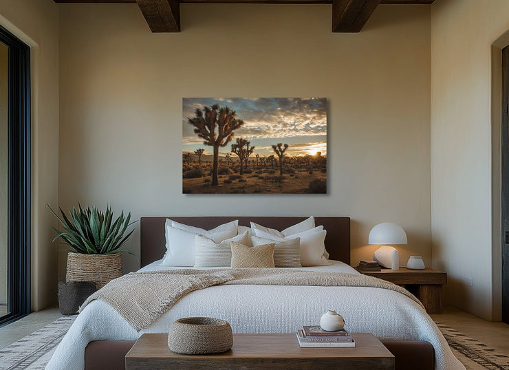 Joshua Tree Sunset on Canvas