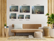 Whispers of Serenity: The Sunlit Bloom, Framed canvas
