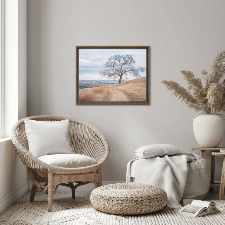 Whispers of Winter: The Lone Oak of Central California Framed Canvas